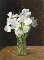Iris, 1894
